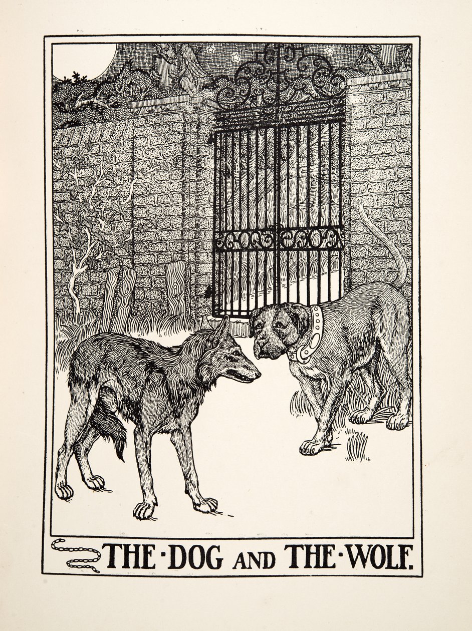 狗和狼》，选自《伊索的一百个寓言》，1903年出版（雕刻）。 作者 珀西·比林斯赫斯特（Percy J.