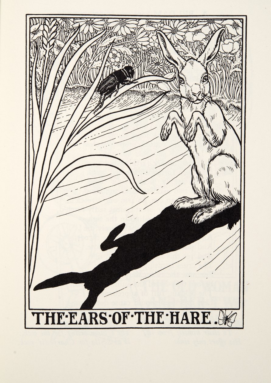 野兔的耳朵，来自Fontaine Fables，酒吧。 1905年 作者 珀西·比林斯赫斯特（Percy J.