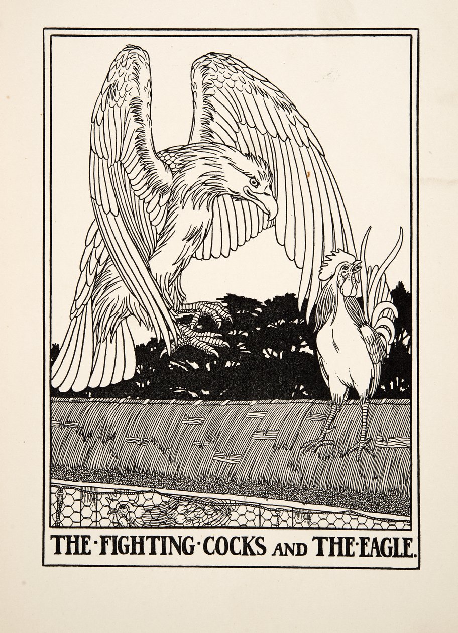 战斗公鸡和鹰，来自阿索普的一百个寓言，pub.1903 作者 珀西·比林斯赫斯特（Percy J.