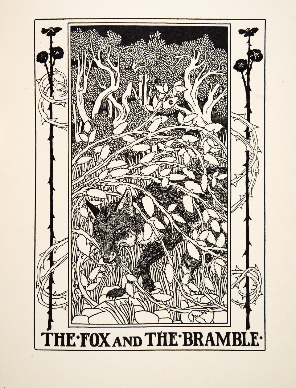 福克斯和布兰布尔，来自A Hundred Fables of Aesop，pub.1903 作者 珀西·比林斯赫斯特（Percy J.