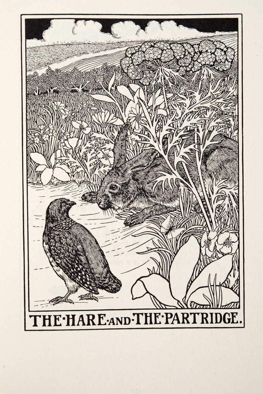 The Hare and The Partridge，来自Fontaine Fables，酒吧。 1905年 作者 珀西·比林斯赫斯特（Percy J.