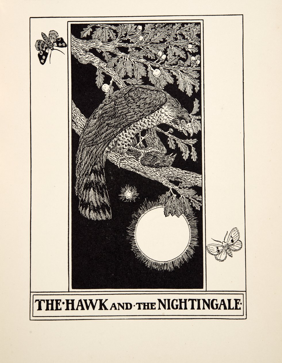 The Hawk and the Nightingale，来自A Andred寓言的Aesop，pub.1903 作者 珀西·比林斯赫斯特（Percy J.