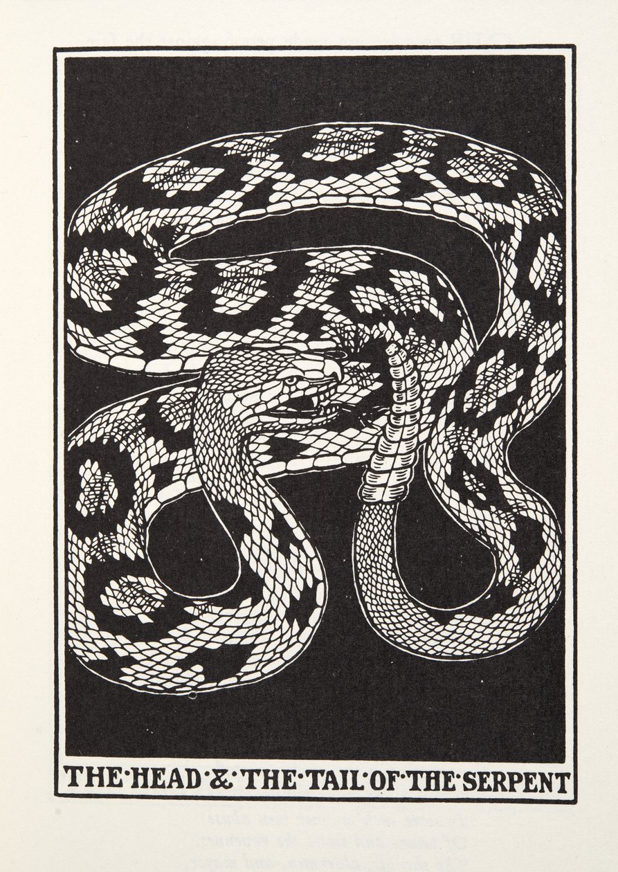 蛇的头和尾巴，来自方丹的寓言，出版。1905年（雕版画 作者 珀西·比林斯赫斯特（Percy J.
