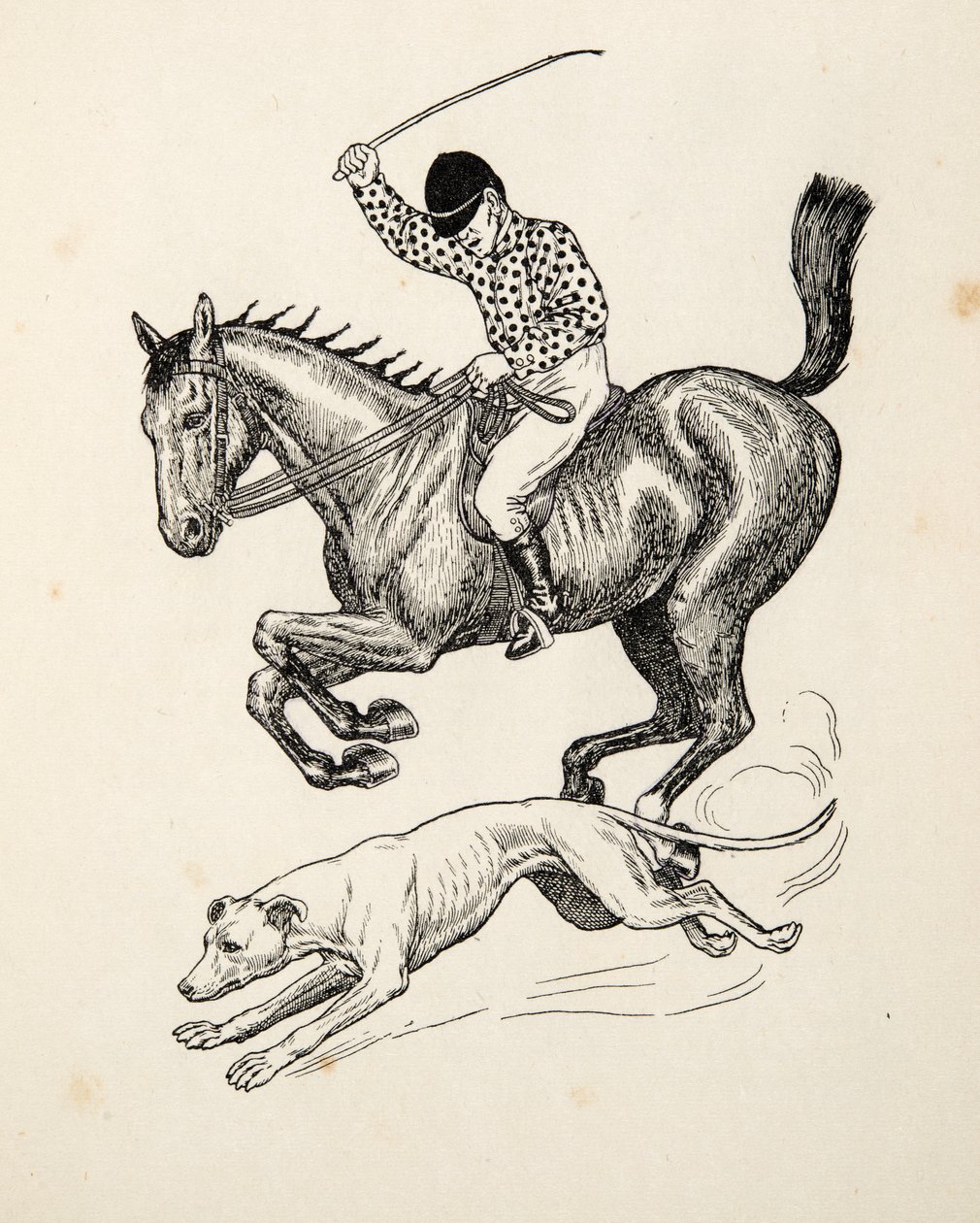 马和灵缇犬，来自动物的一百个轶事，酒吧。 1924年 作者 珀西·比林斯赫斯特（Percy J.