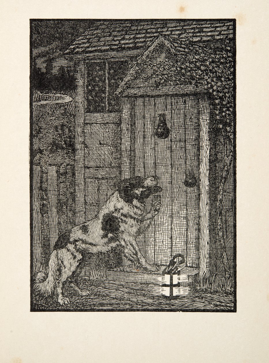 纽芬兰犬，来自动物的一百个轶事，酒吧。 1924年 作者 珀西·比林斯赫斯特（Percy J.