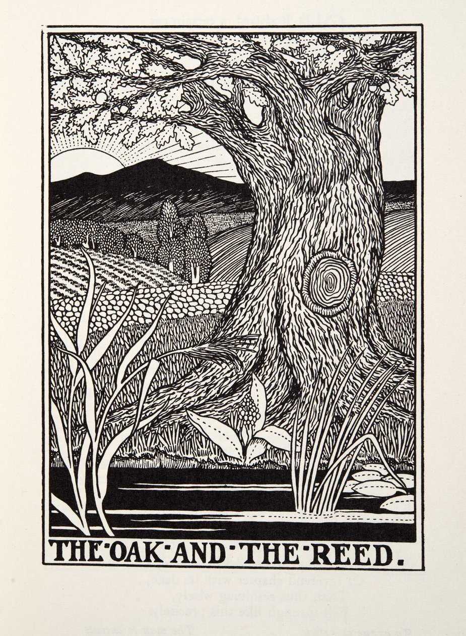 The Oak and the Reed，来自Fontaine Fables，酒吧。 1905年 作者 珀西·比林斯赫斯特（Percy J.