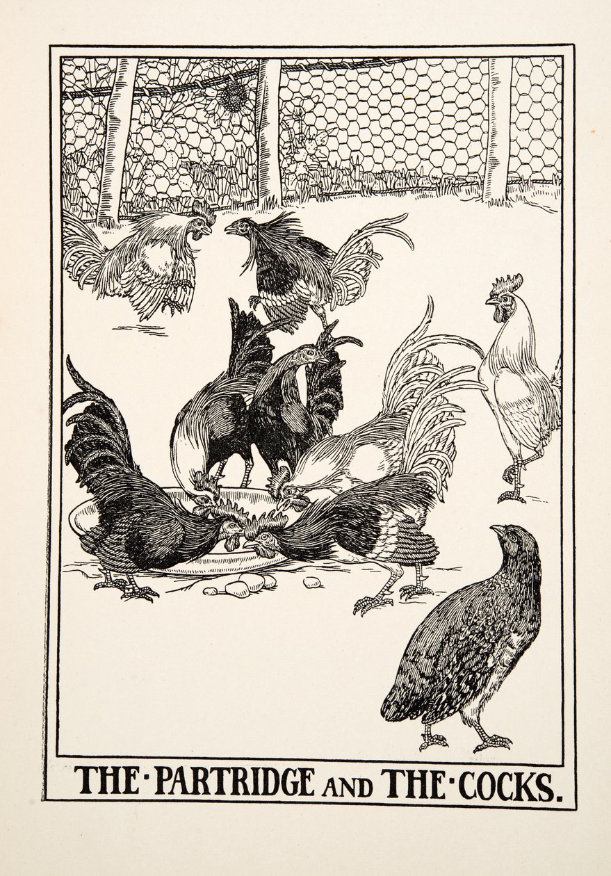 The Partridge and the Cocks，来自A Andred寓言的Aesop，pub.1903 作者 珀西·比林斯赫斯特（Percy J.