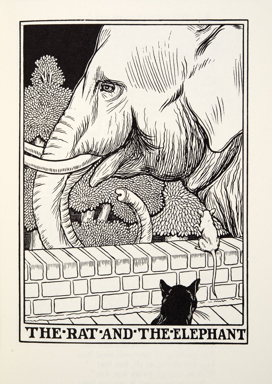 The Rat and the Elephant，来自Fontaine Fables，酒吧。 1905年 作者 珀西·比林斯赫斯特（Percy J.