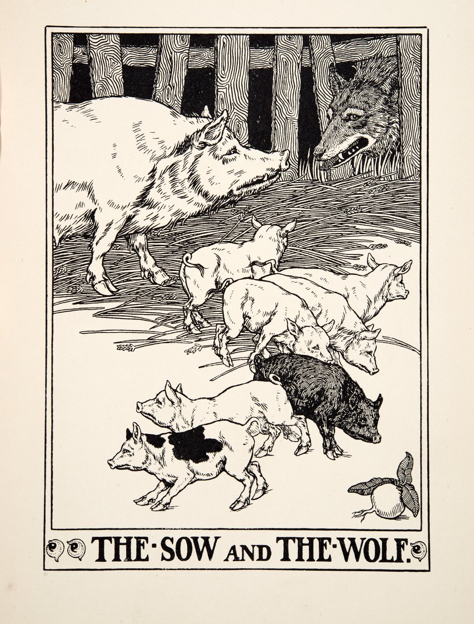 母猪和狼》，选自《伊索的一百个寓言》，1903年出版（雕刻）。 作者 珀西·比林斯赫斯特（Percy J.