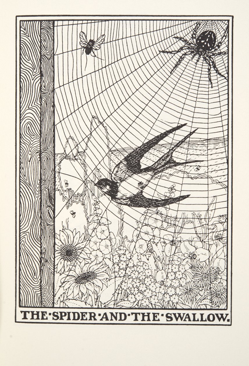 蜘蛛和燕子，来自Fontaine Fables，酒吧。 1905年 作者 珀西·比林斯赫斯特（Percy J.