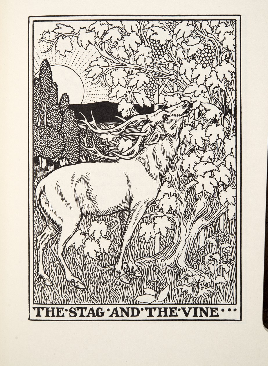 The Stag and the Vine，来自Fontaine Fables，酒吧。 1905年 作者 珀西·比林斯赫斯特（Percy J.