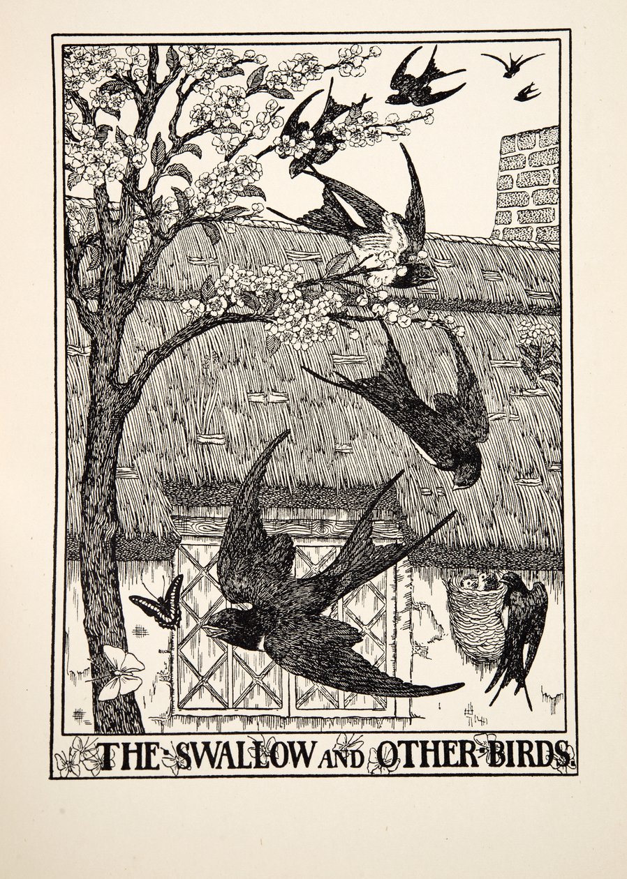 燕子和其他鸟类，来自阿索普的一百个寓言，pub.1903 作者 珀西·比林斯赫斯特（Percy J.