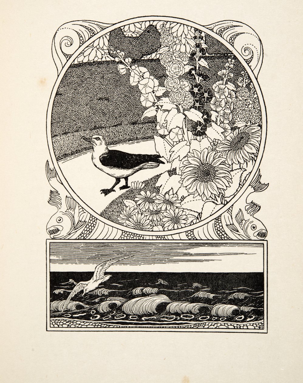 驯服的海鸥，出自《百种动物轶事》，出版。1924年（雕刻）。 作者 珀西·比林斯赫斯特（Percy J.