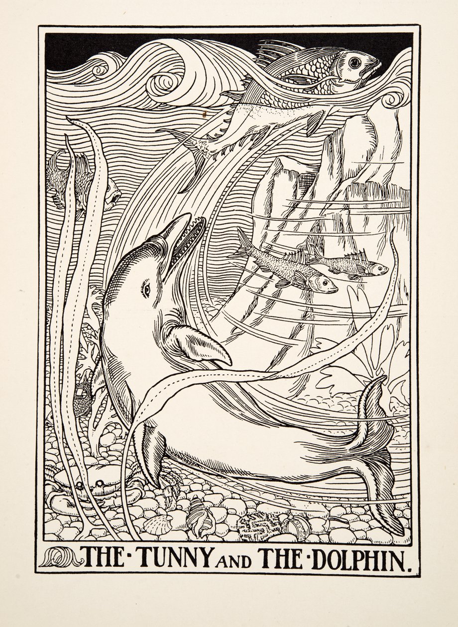 The Tunny and the Dolphin，来自A Hundred Fables of Aesop，pub.1903 作者 珀西·比林斯赫斯特（Percy J.