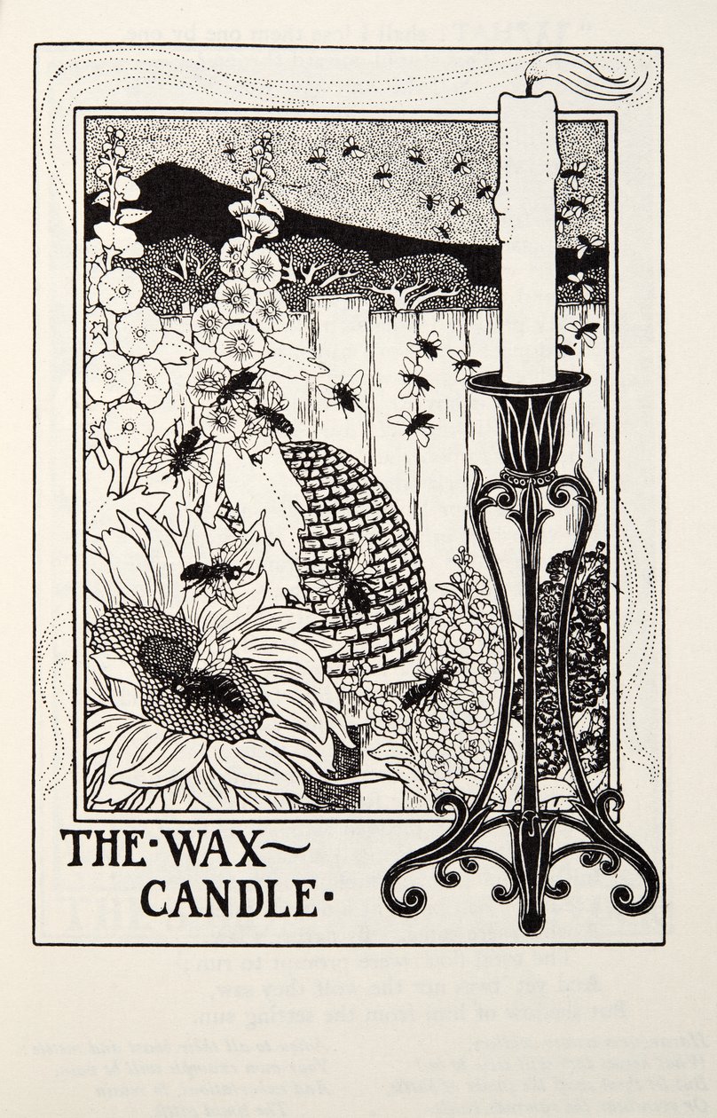 蜡烛，来自Fontaine Fables，酒吧。 1905年 作者 珀西·比林斯赫斯特（Percy J.