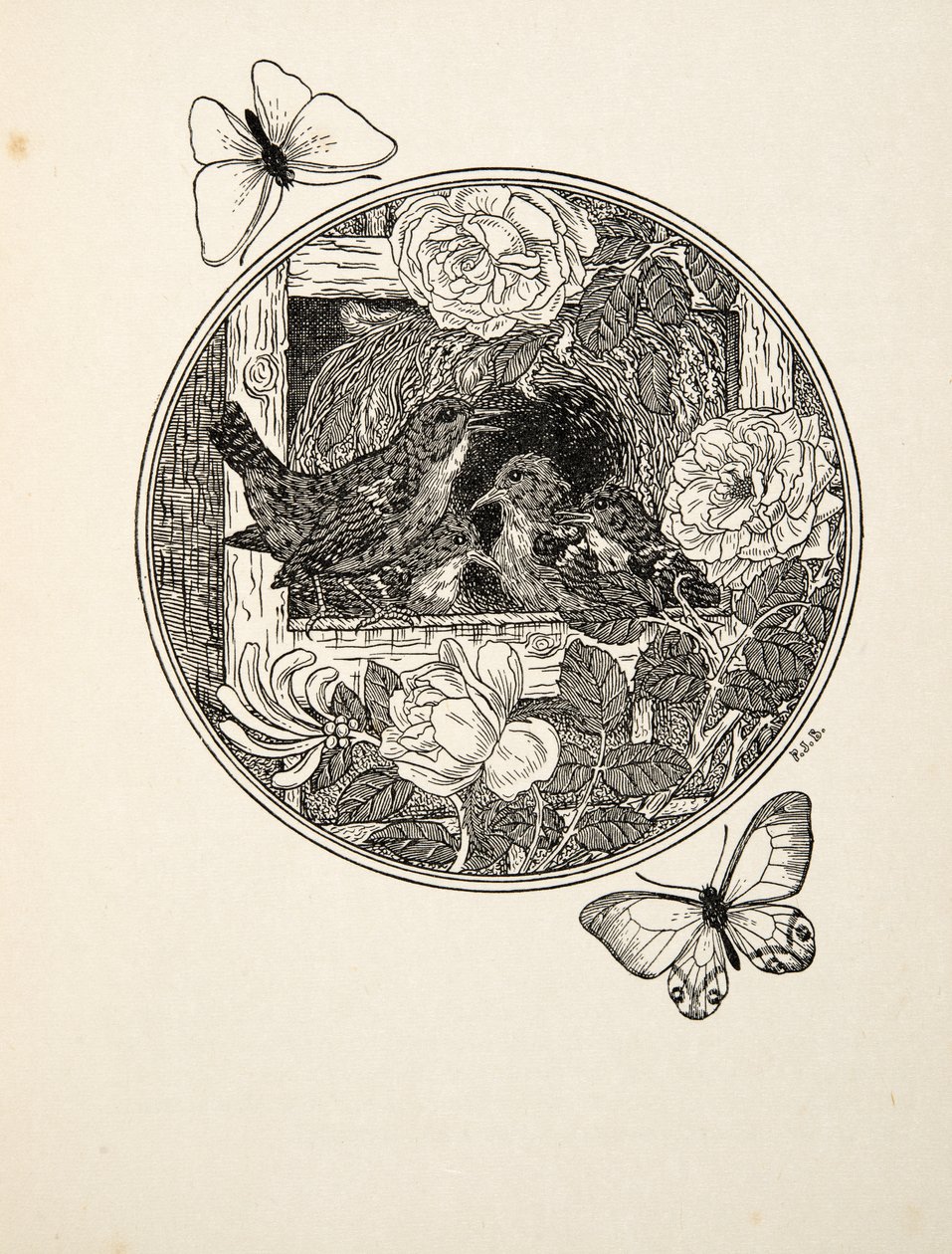 Wrens学习唱歌，来自动物的一百个轶事，酒吧。 1924年 作者 珀西·比林斯赫斯特（Percy J.