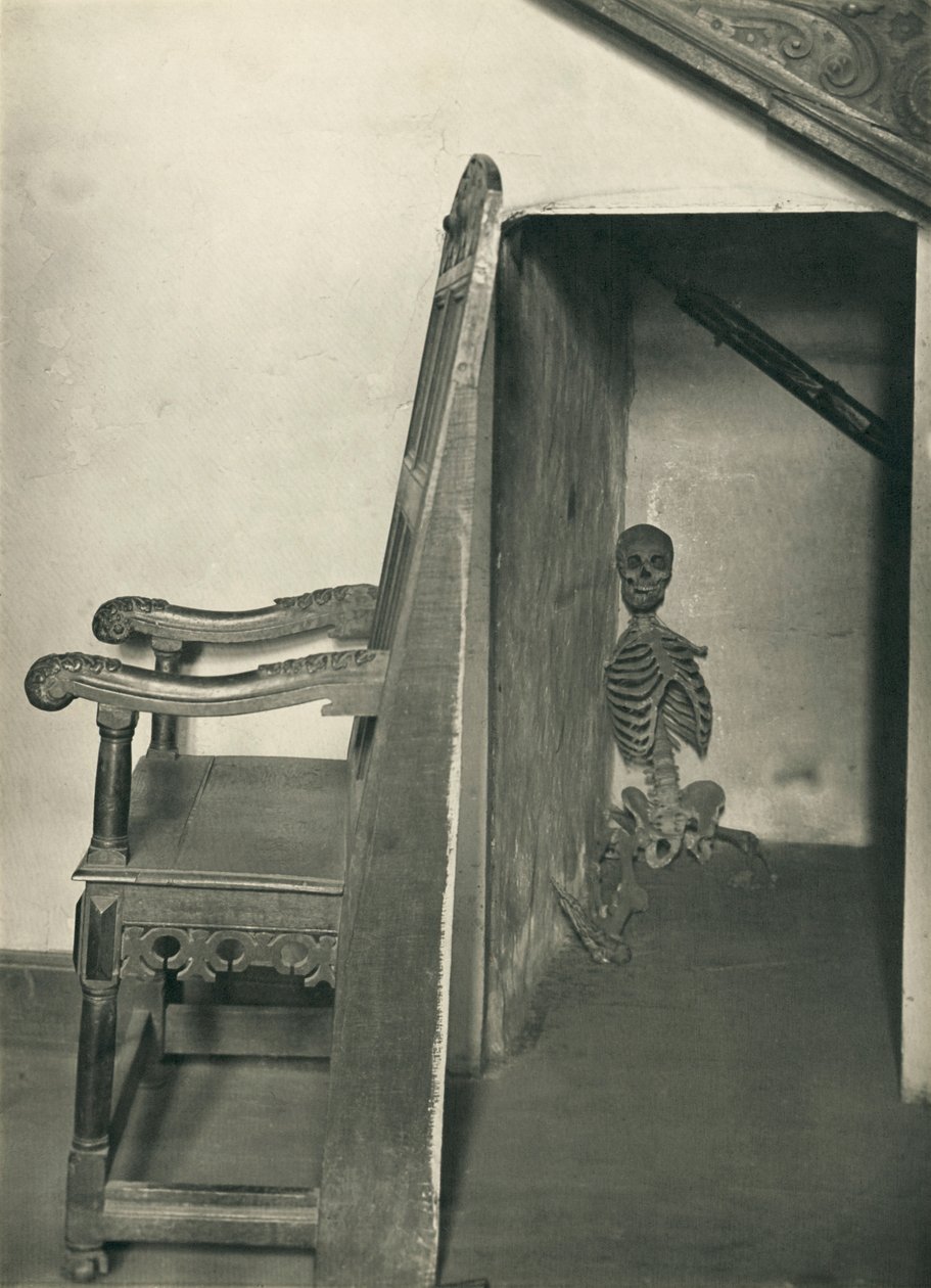 衣橱里的骷髅，阿斯顿大厅，阿斯顿，伯明翰，1895-1905年 作者 珀西·托马斯·迪金