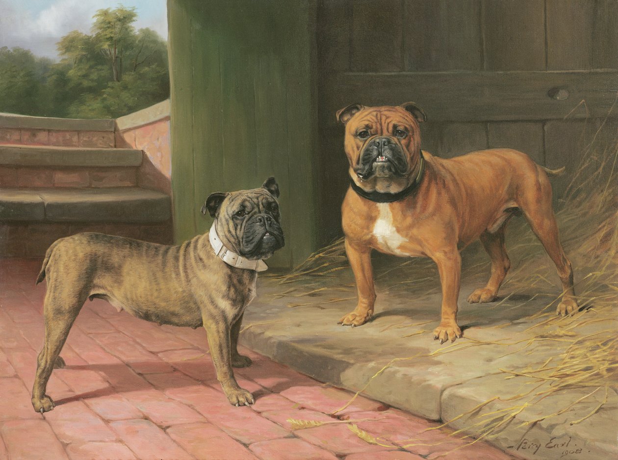 谷仓旁的红斗牛犬和斑纹斗牛犬（布面油画） 作者 珀西·托马斯·厄尔