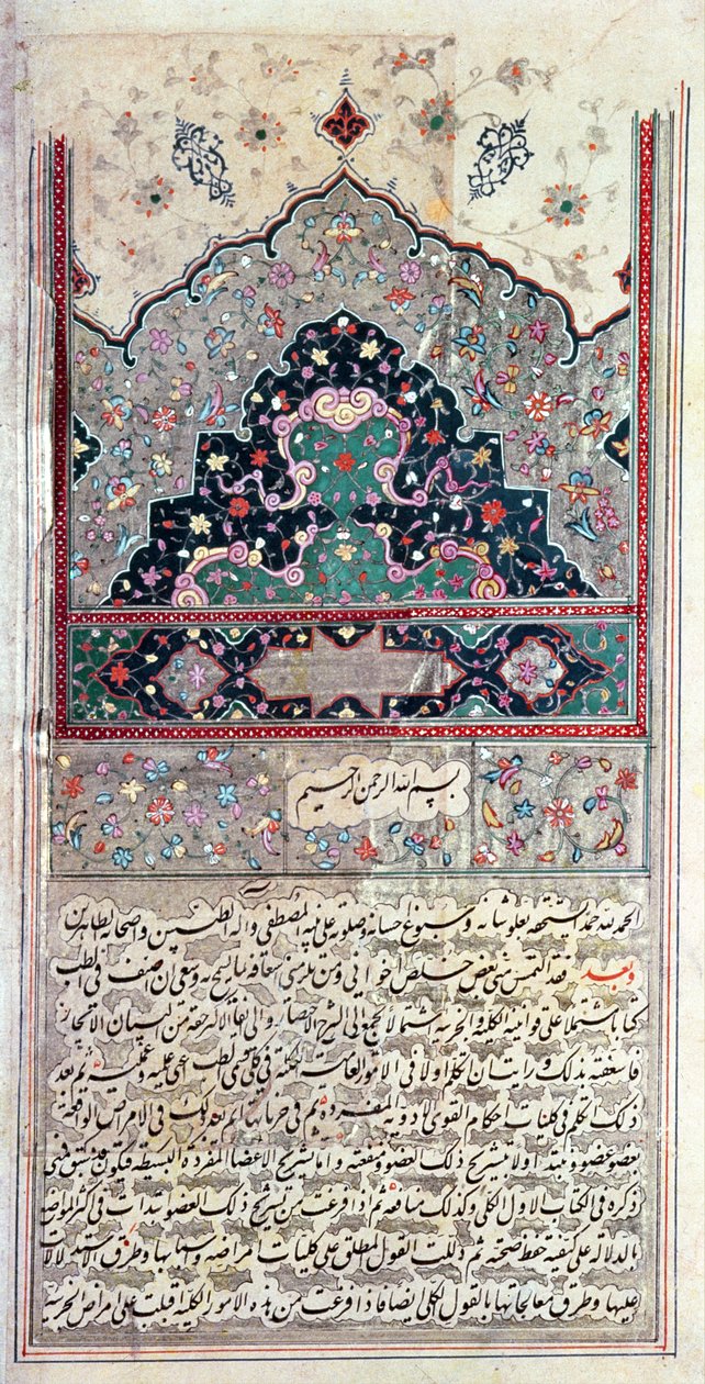 来自阿维森纳的医学佳能（Ibn Sina）1632页 作者 波斯学校