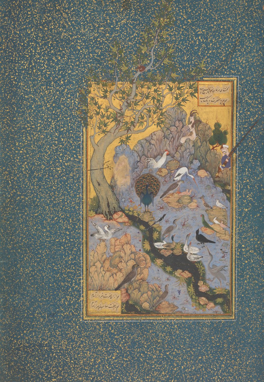 “鸟类大厅”，c.1600 作者 波斯学校