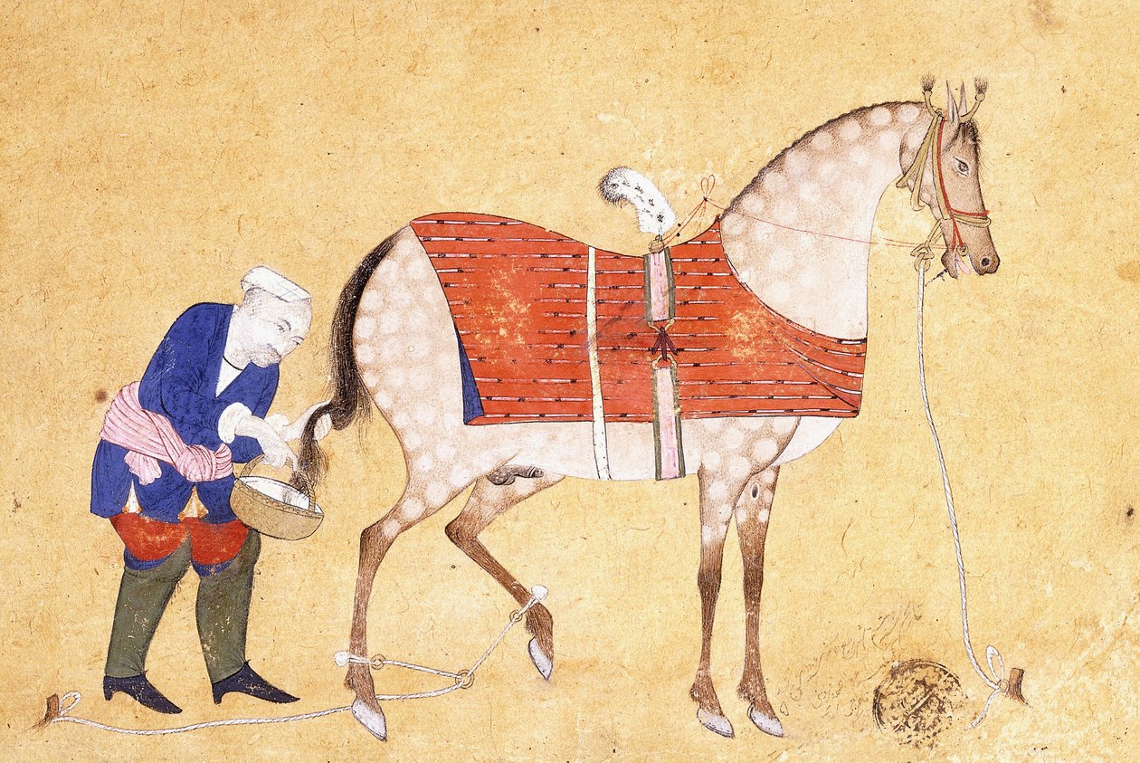 新郎与马，1694年 作者 波斯学校