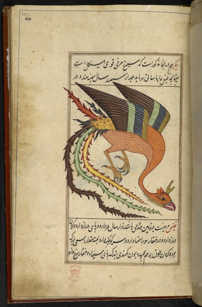 添加 MS 15241 f.64r 伊朗雷鸟 simurgh，出自 "Majma