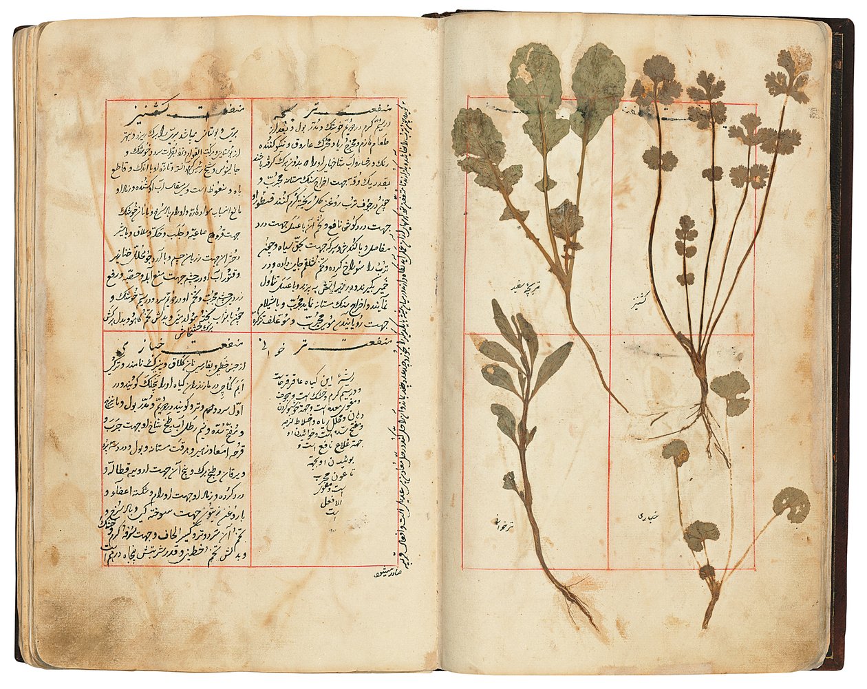 Hassan Bin Baqir Bin Jarrah：伊朗Qajar的Gulzar Al-Rayahin 作者 波斯学校
