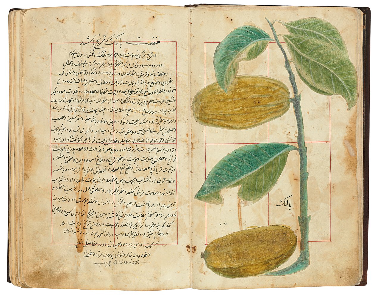 Hassan Bin Baqir Bin Jarrah：伊朗Qajar的Gulzar Al-Rayahin 作者 波斯学校