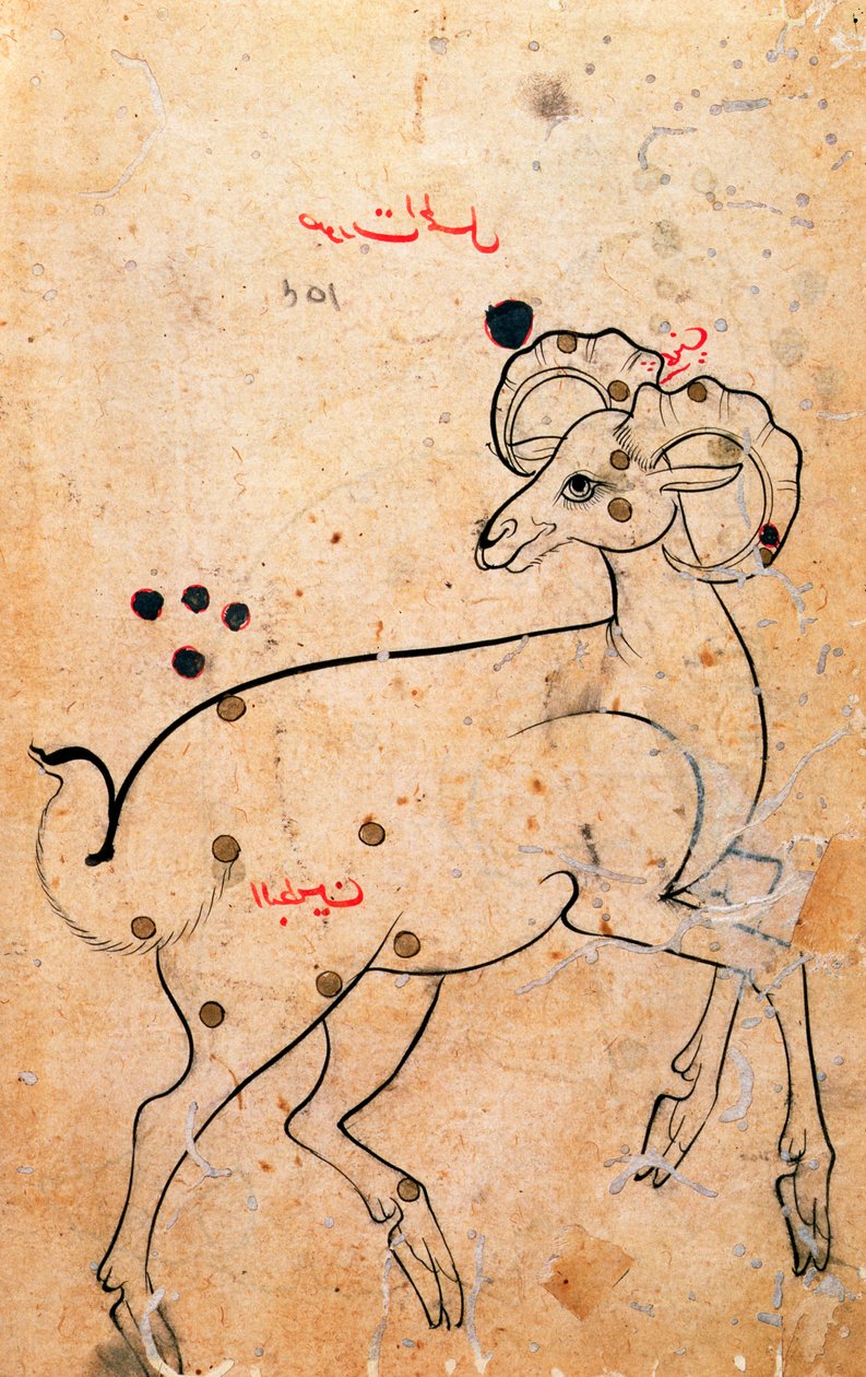 f.154a Aries，Ram，Persian，来自Isfahan或Shiraz，c.1600（纸上墨水） 作者 波斯学校