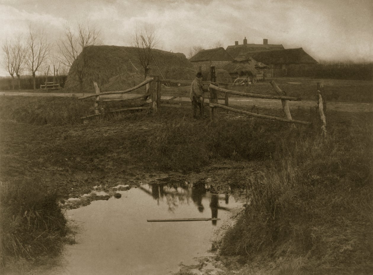 沼泽农场，c.1886（照片） 作者 彼得·爱默生和托马斯·古道尔