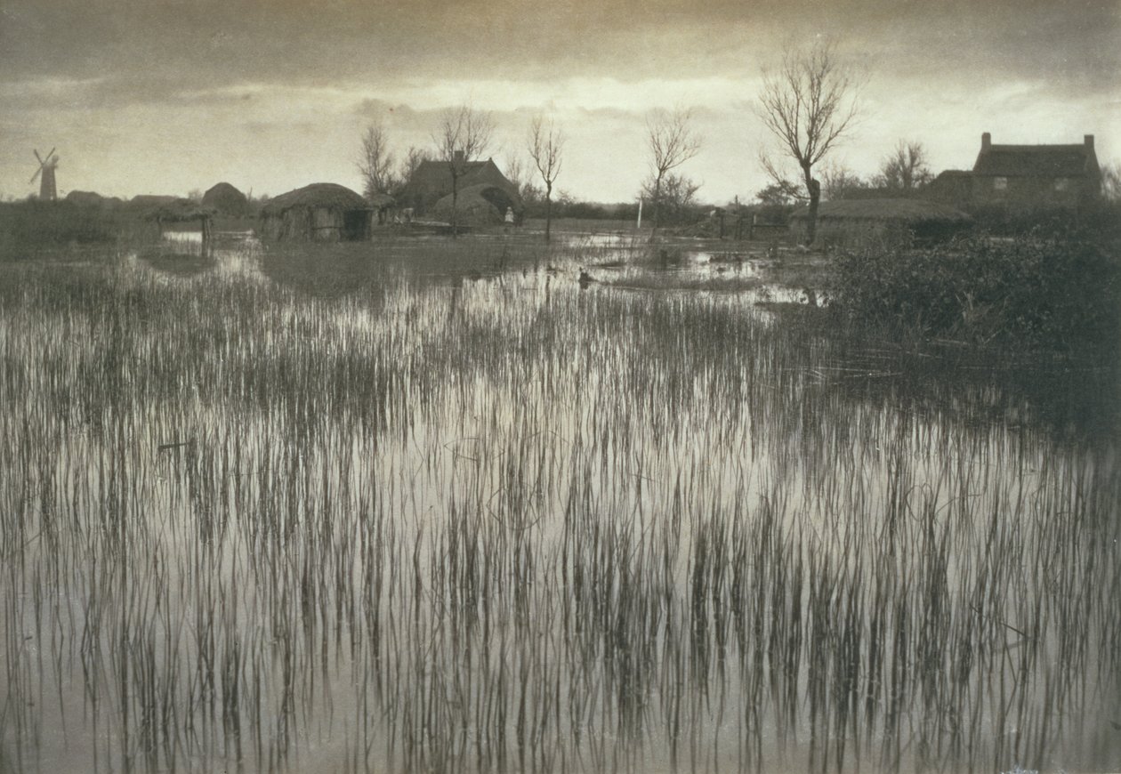 a。诺福克布罗德斯的一个Rushy Shore，Life and Landscape，c.1886 作者 彼得·爱默生和托马斯·古道尔