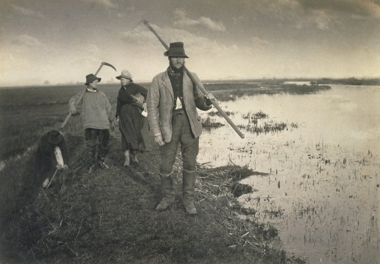 在诺福克布罗德斯切割格拉登，生活和风景，c.1886 作者 彼得·爱默生和托马斯·古道尔