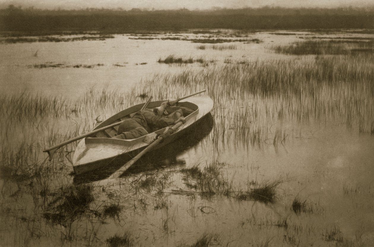 枪手在诺福克布罗德斯唤醒家禽，生活和风景，c.1886 作者 彼得·爱默生和托马斯·古道尔