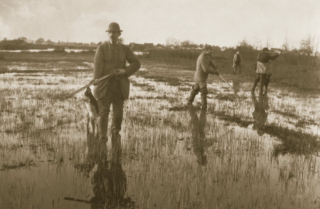 Snipe Shooting，1886 作者 彼得·爱默生和托马斯·古道尔