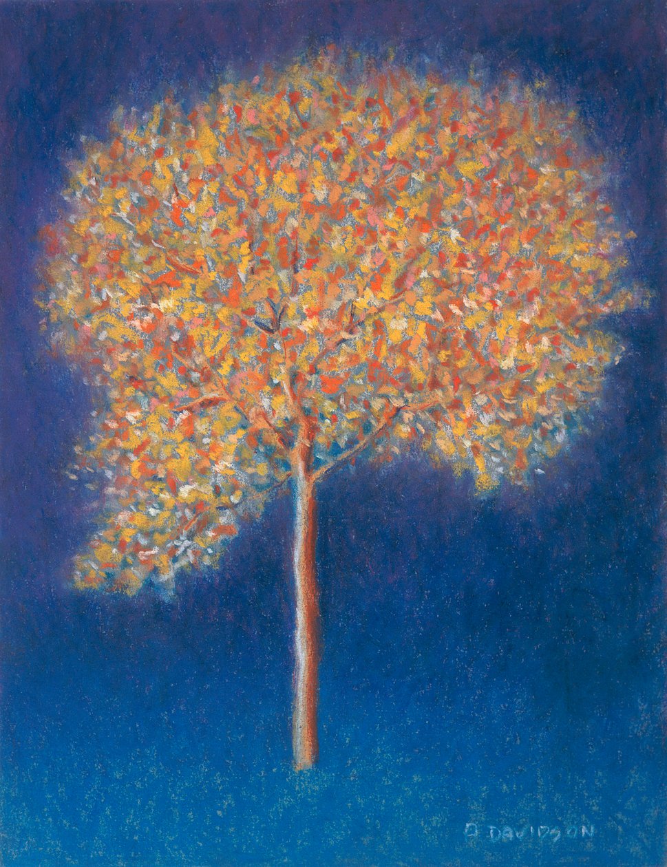 Tree in Blossom，1997 作者 彼得·戴维森