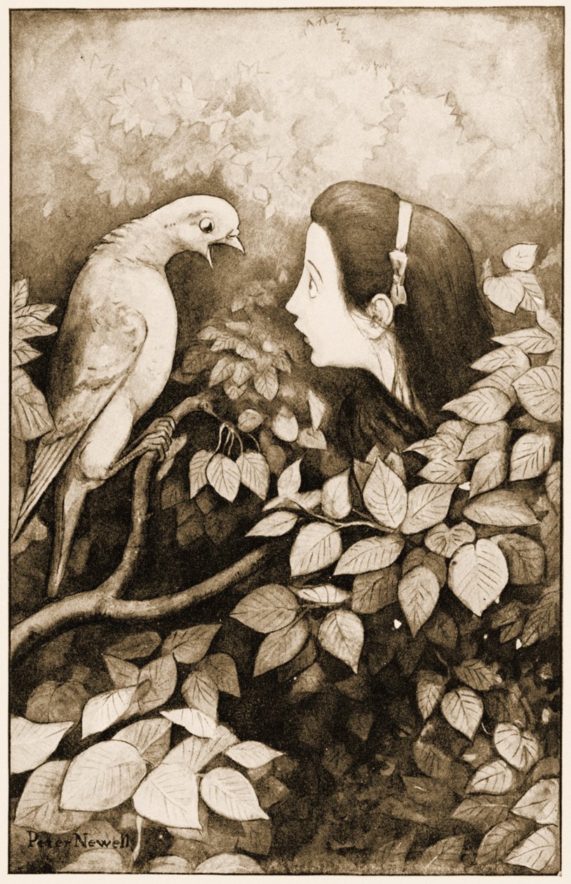 “”蛇！“鸽子尖叫着，”刘易斯卡罗尔的故事“爱丽丝梦游仙境”中的插图，1901年 作者 彼得·纽维尔