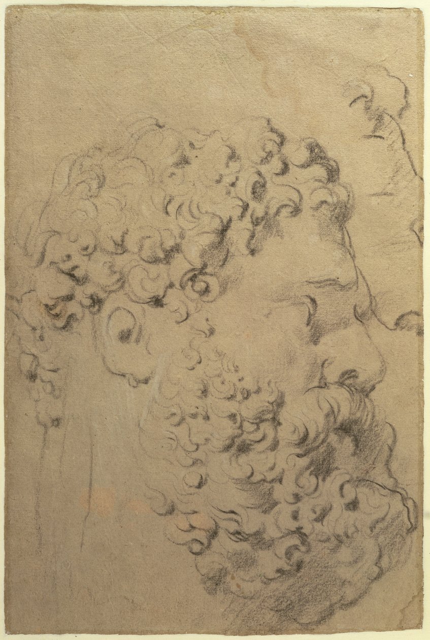 Glycon的Farnese Hercules的头部和轮廓的研究，反面，1606-08（黑白粉笔在纸上） 作者 彼得·保罗·鲁本斯