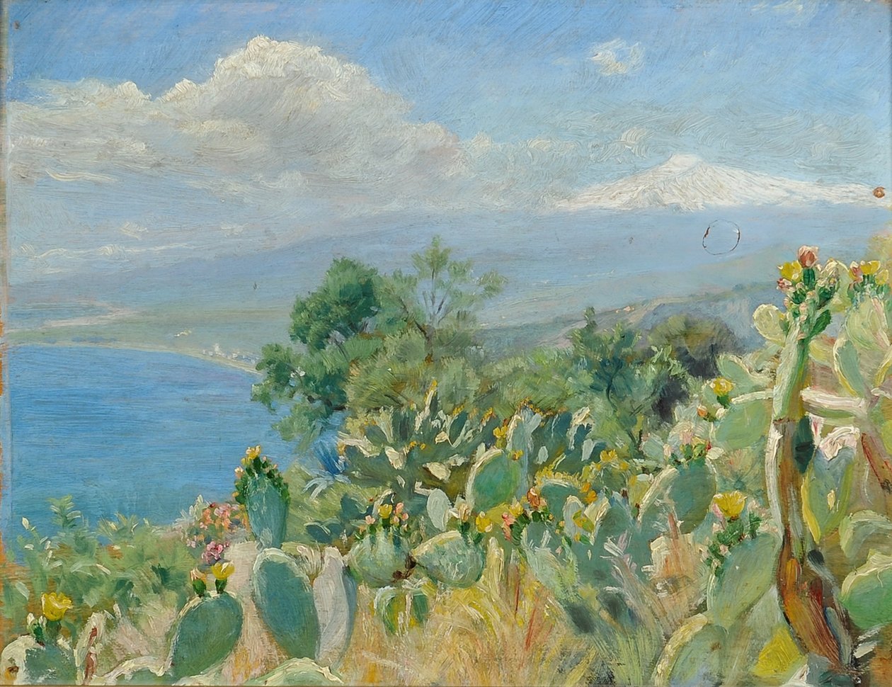 在Toarmina附近蓬勃发展的仙人掌 作者 Peder Severin Krøyer