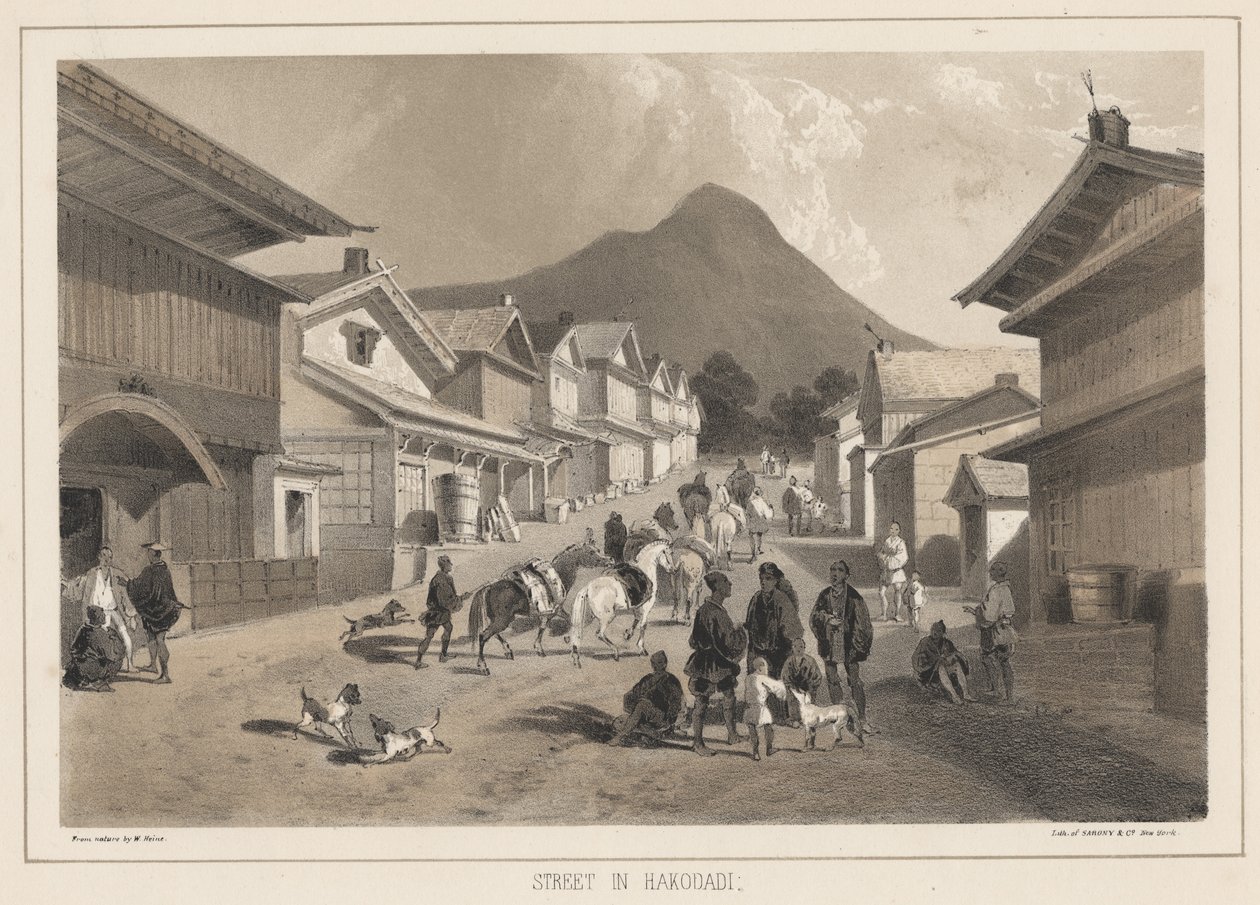 位于Hakodadi的街道，由Sarony and Co.，1855年制作的版画（chromolitho） 作者 彼得·伯恩哈德·威廉·海涅