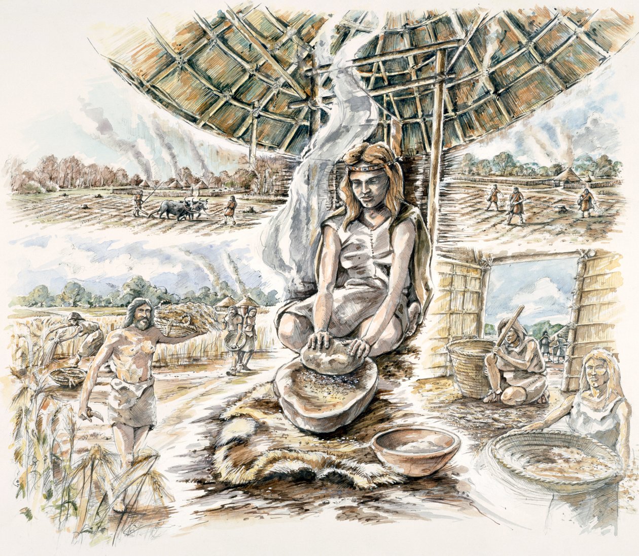 新石器时代的粮食生产，约1990-2010年 作者 彼得·邓恩