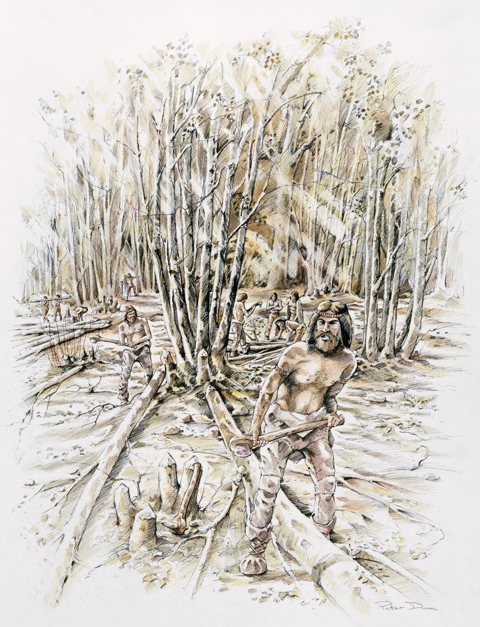 火石的使用--砍伐，史前，c1990-2010 作者 彼得·邓恩