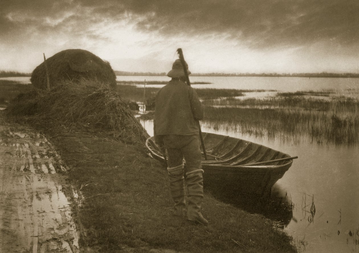 Marsh Man正在削减Schoof-stuff的途中，c.1886 作者 彼得·爱默生和托马斯·古道尔