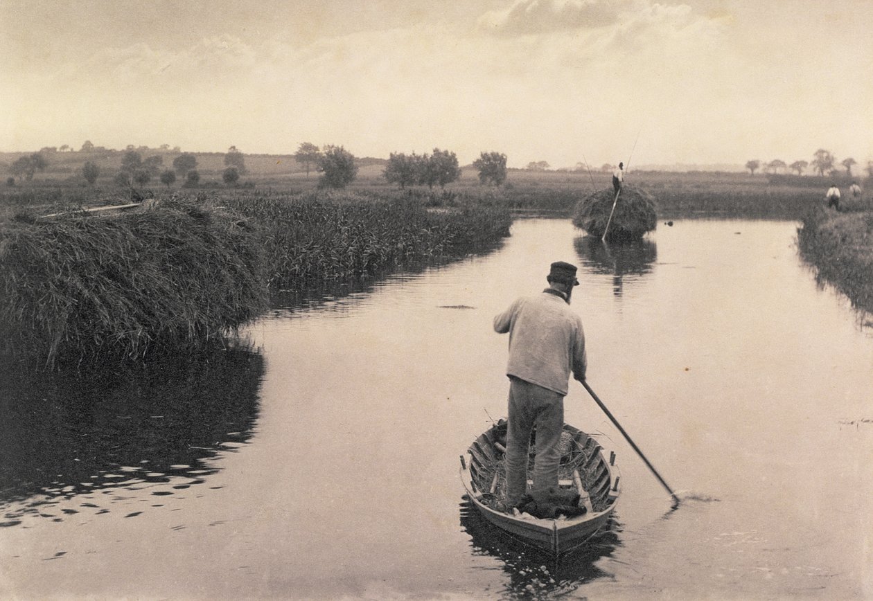 1865年，在诺福克布罗德斯（Norfolk Broads）上对沼泽干草，生活和景观进行了四处翻译 作者 彼得·爱默生和托马斯·古道尔