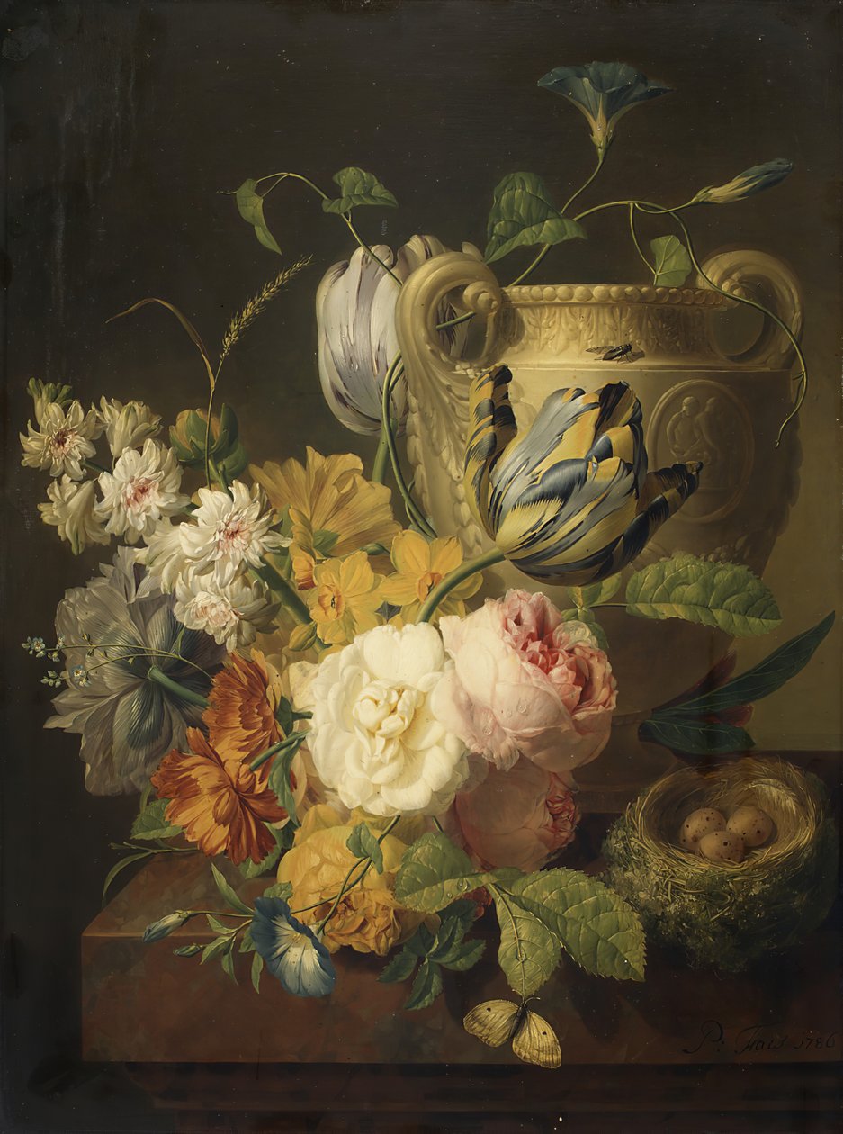 石花瓶花，1786年。 作者 彼得·法斯