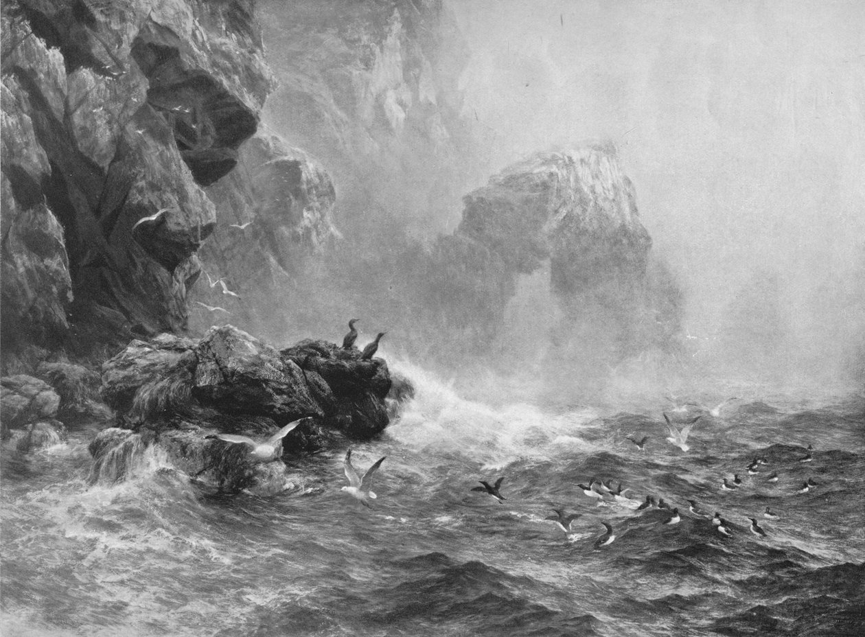 闻所未闻，但浪潮汹涌，海鸟哭泣，c1880，1912年 作者 彼得·格雷厄姆