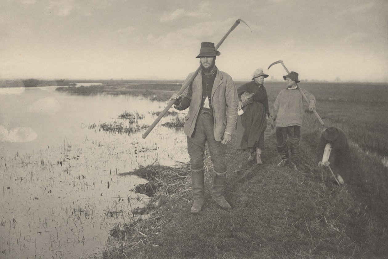 从沼泽地回家，1886年。创作人。彼得-亨利-爱默生博士，托马斯-弗雷德里克-古道尔。 作者 彼得·亨利·爱默生、托马斯·弗雷德里克·古道尔
