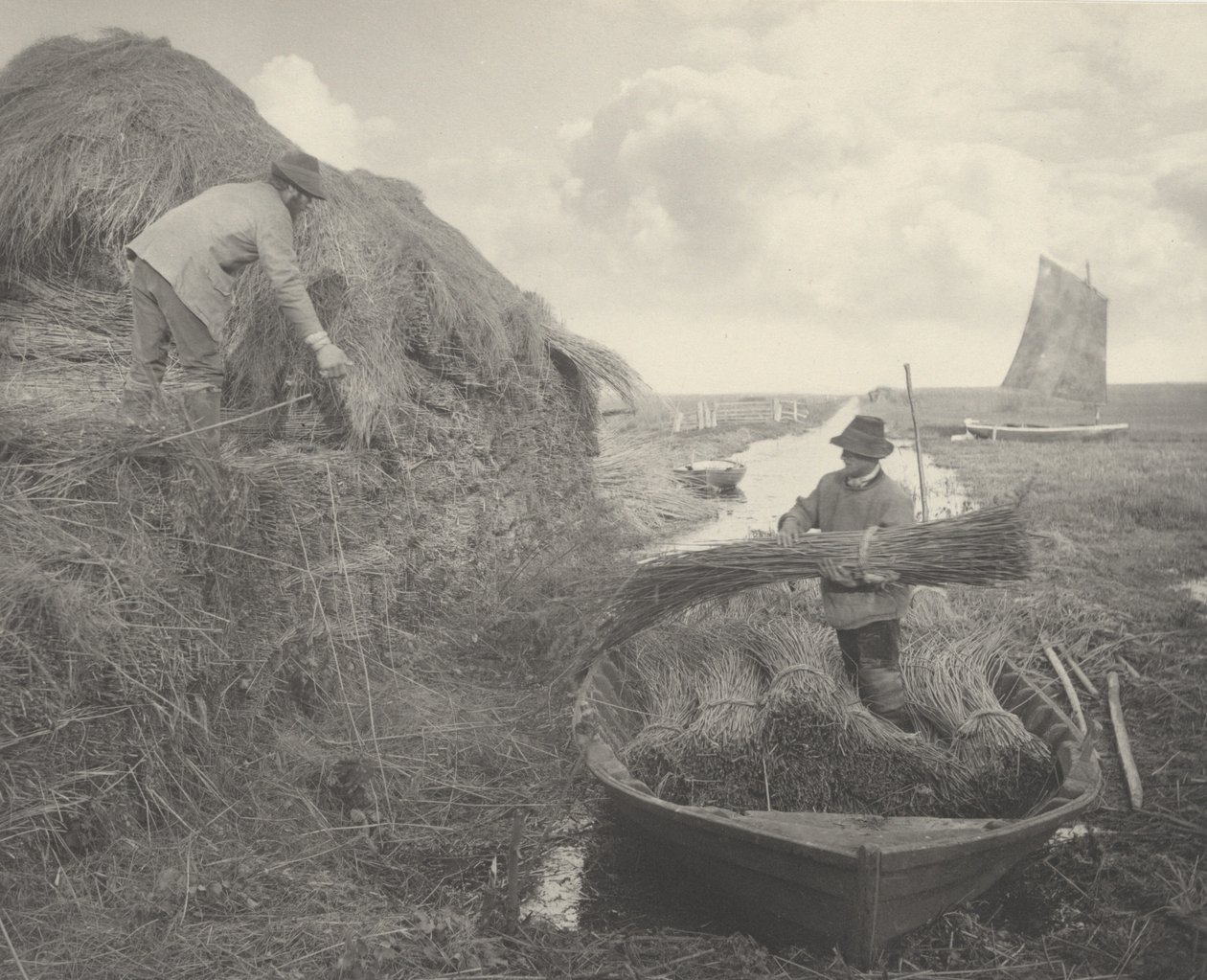 Ricking the Reed, 1886.创作人。彼得-亨利-爱默生博士，托马斯-弗雷德里克-古道尔。 作者 彼得·亨利·爱默生、托马斯·弗雷德里克·古道尔