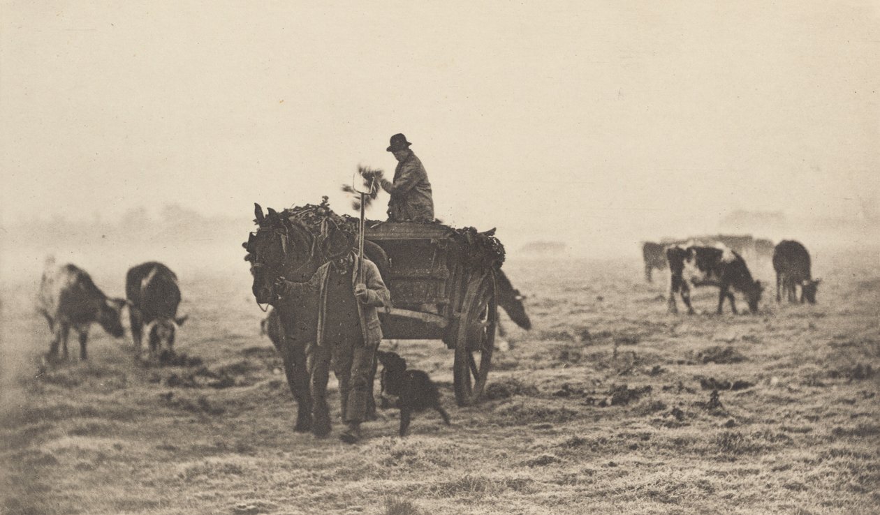 霜降的早晨》，1890-1891年，1893年印刷。 作者 彼得·亨利·爱默生