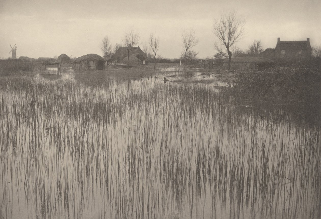 鲁什海岸，1886 年（照片） 作者 彼得·亨利·爱默生