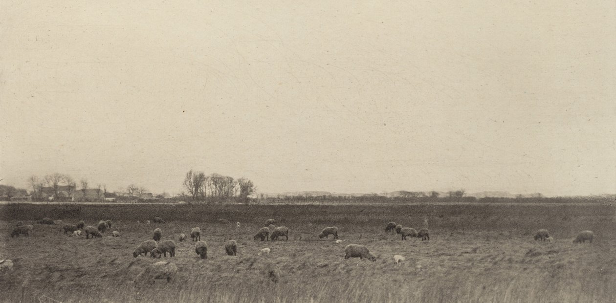 北海边的沼泽地，1890-1891，1893年印刷。 作者 彼得·亨利·爱默生